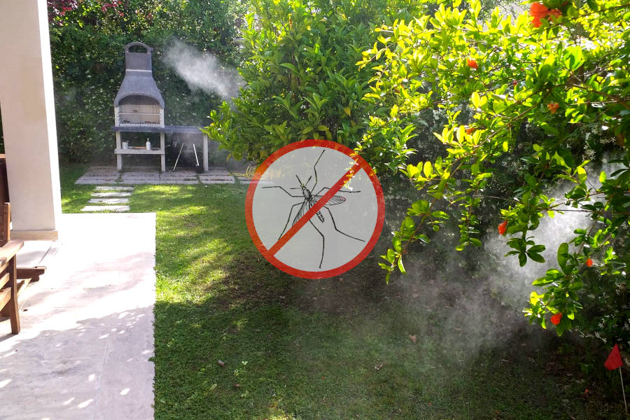 Eliminare le zanzare, disinfestazione, giardino, piscina